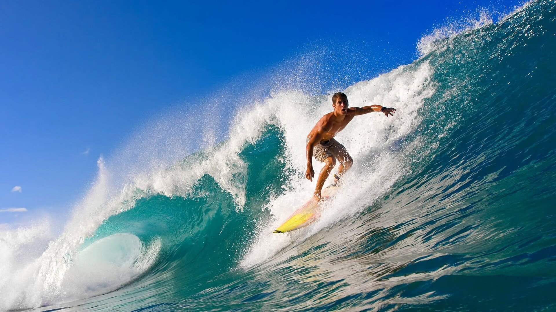 星空体育app下载-澳女队自由泳冲刺阶段反超成功，澳大利亚女子4×100自由泳