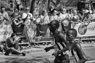 星空体育app下载-马拉松赛事组织更加规范，马拉松比赛组织