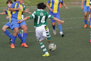 星空电竞平台-上海申花再遭柔佛新山逆转，1-3失利痛失连胜机会