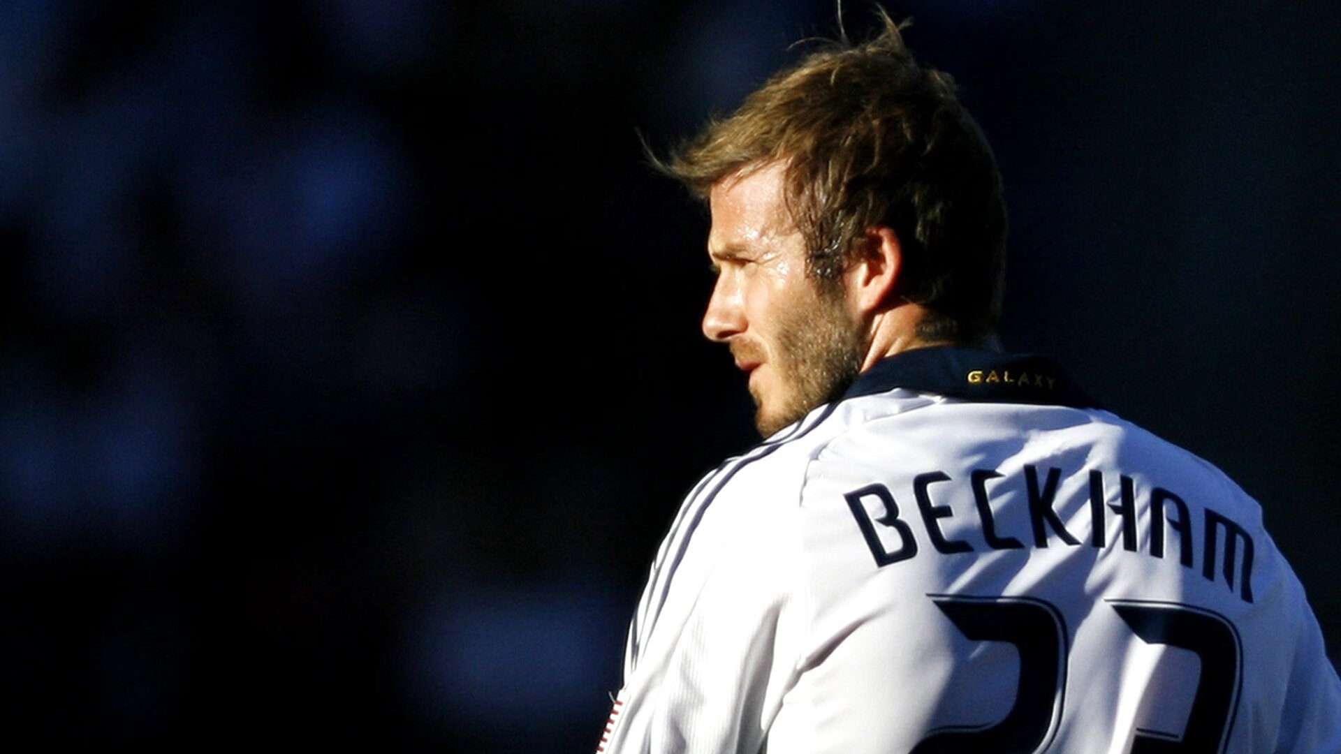 世界宠物障碍赛 世界犬类大赛增加“主人+狗狗组合跑”项目